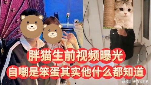 笨蛋最新爆料视频,惊人内幕大公开! 第1张 笨蛋最新爆料视频,惊人内幕大公开! 第1张