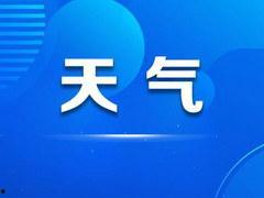天等新闻网爆料电话,揭秘神秘爆料电话背后的故事  第3张